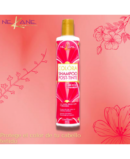 Shampoo Post-Tinte Colóra Nekane 300g